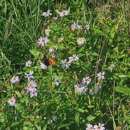 Tranquil Retreat In - By Traum *